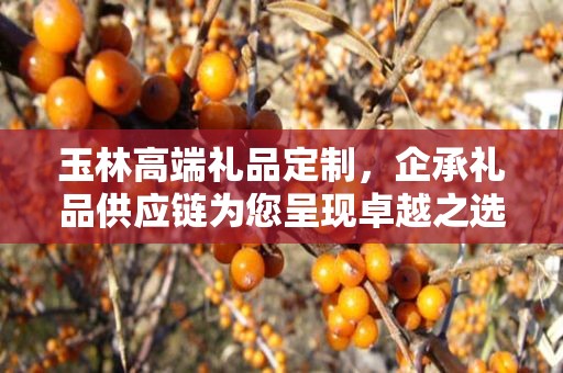 玉林高端礼品定制，企承礼品供应链为您呈现卓越之选